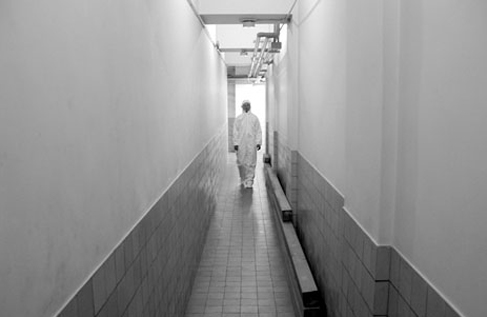 Davide Bertocchi - Mono-Cycles